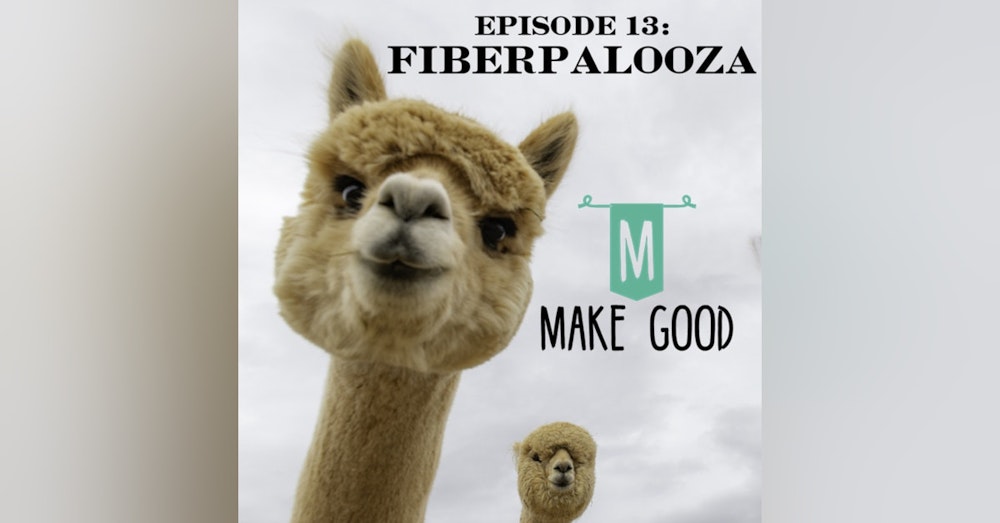 Episode 13: Fiberpalooza