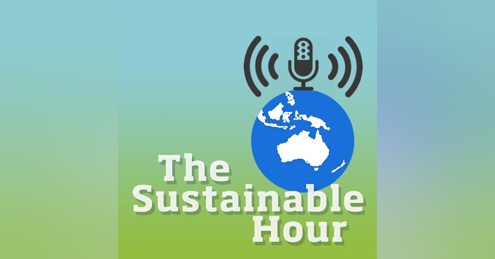 The Sustainable Disaster Hour