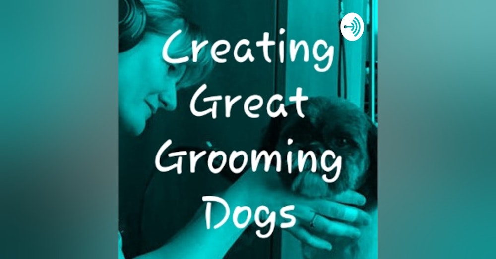 Episode 29. Are dogs afraid of dryers? What can we do to help them?