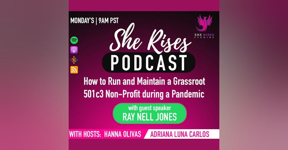 How to Run and Maintain a Grassroot 501c3 Non-Profit during a Pandemic with Ray Nell Jones