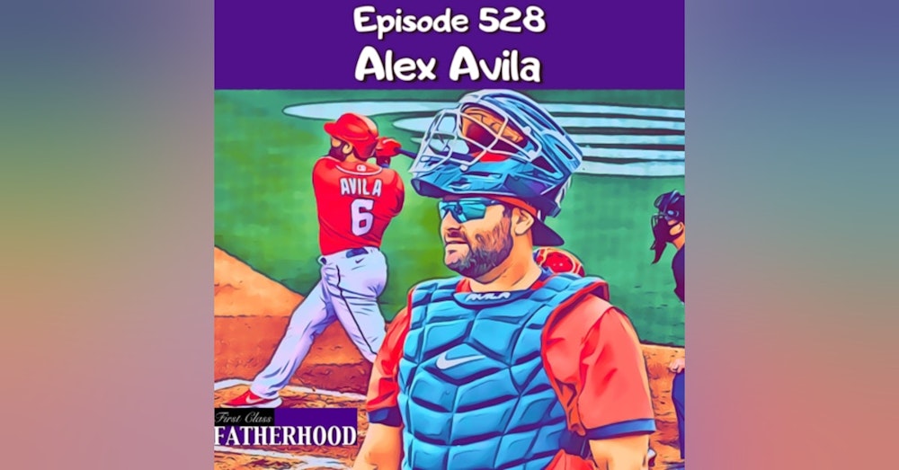 #528 Alex Avila