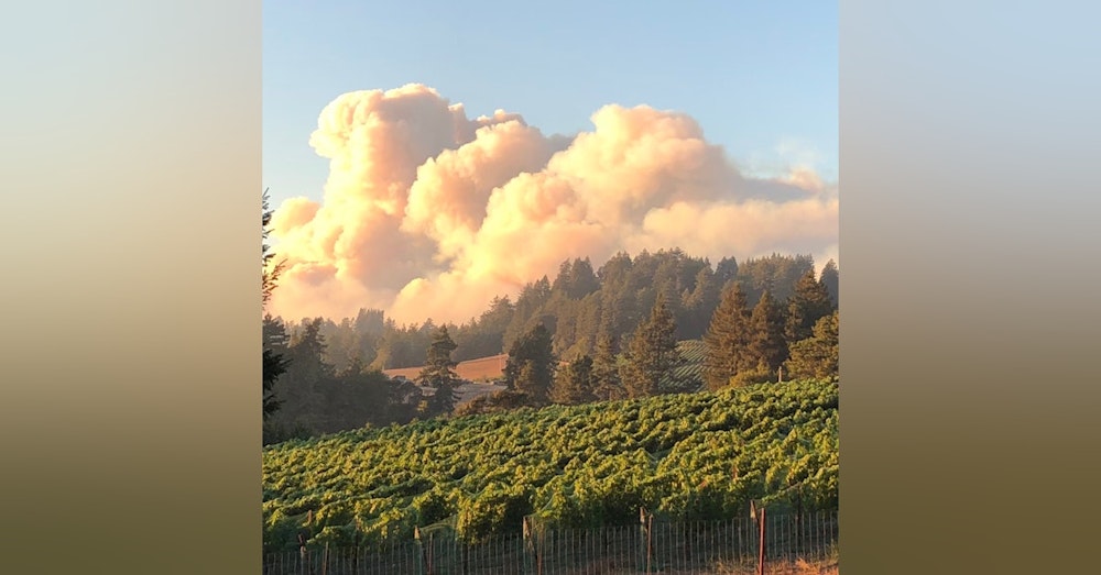Wine Country Wildfires: the ungovernable State of California