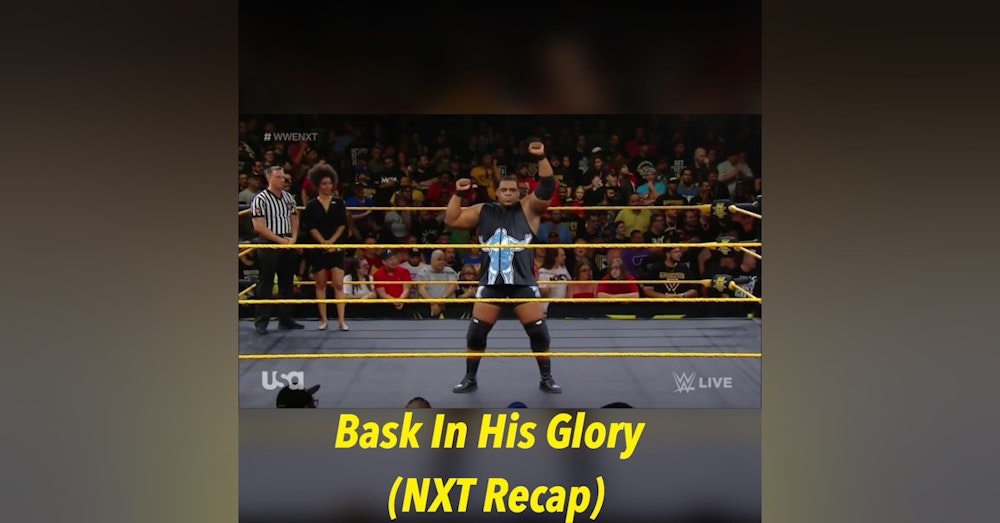 Bask In His Glory (NXT Weekly Recap)