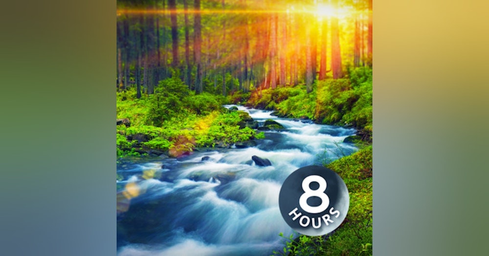 Forest River Peaceful Sounds for Relaxation, Sleep or Studying 8 Hours | White Noise Nature