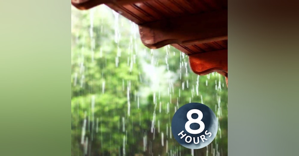 Rain on a Tin Roof 8 hours | Rainstorm White Noise for Sleep, Studying or Relaxation