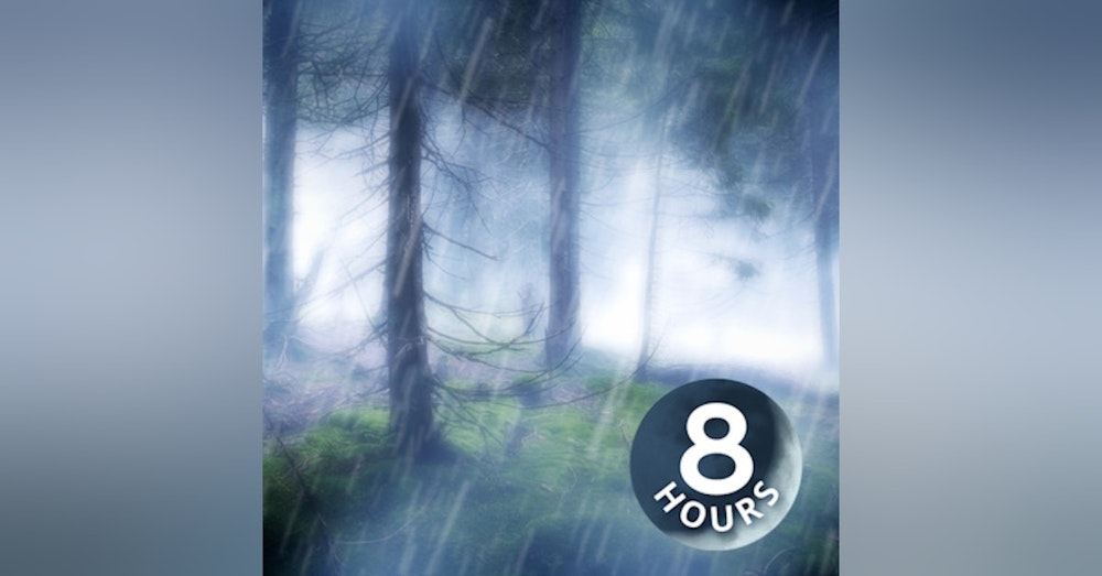 Rain in the Woods Sleep Sounds 8 hours | Nature's White Noise for Relaxation, Studying or Sleep