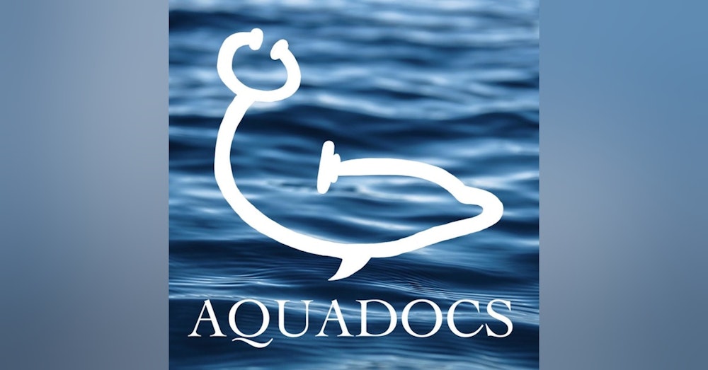 Introducing Aquadocs