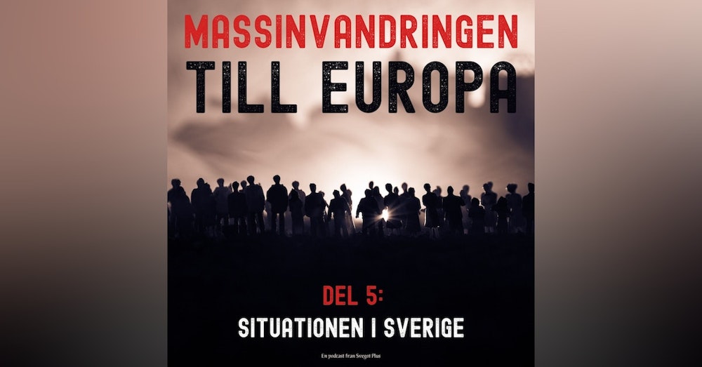 Om massinvandringen till Europa (Del 5: Situationen i Sverige)