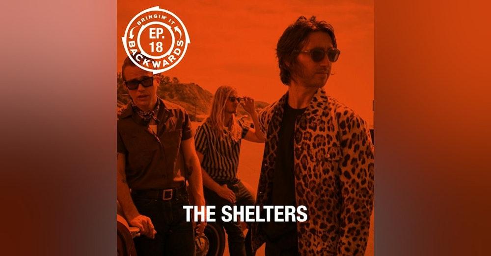 Interview with The Shelters