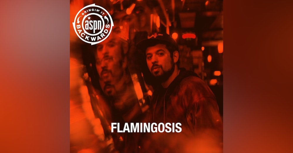 Interview with Flamingosis