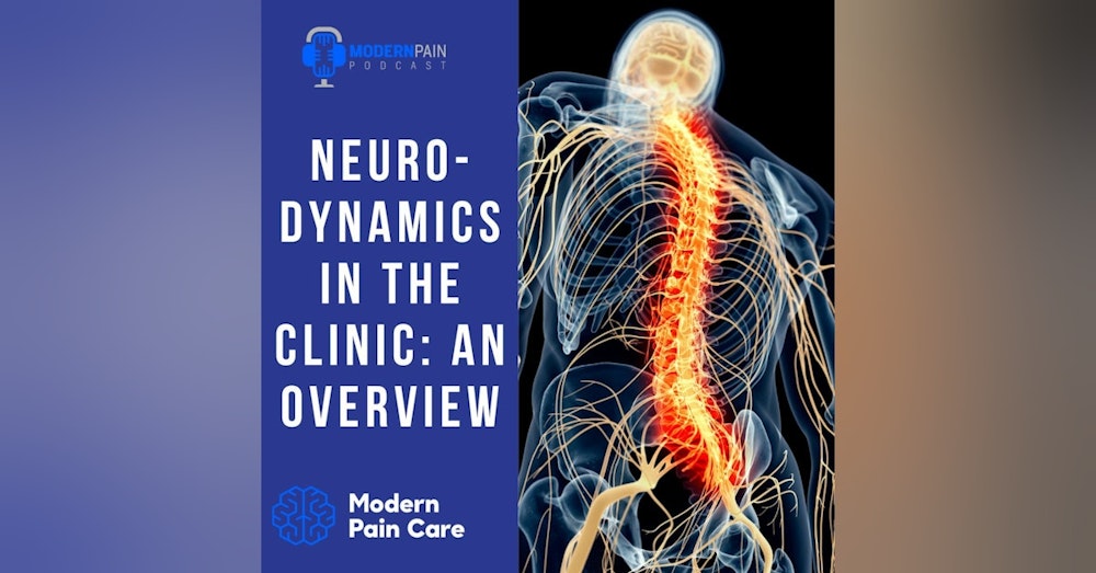 Neurodynamics In The Clinic: An Overview