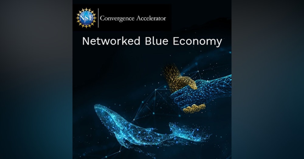 National Science Foundation's Networked Blue Economy Ocean Accelerator