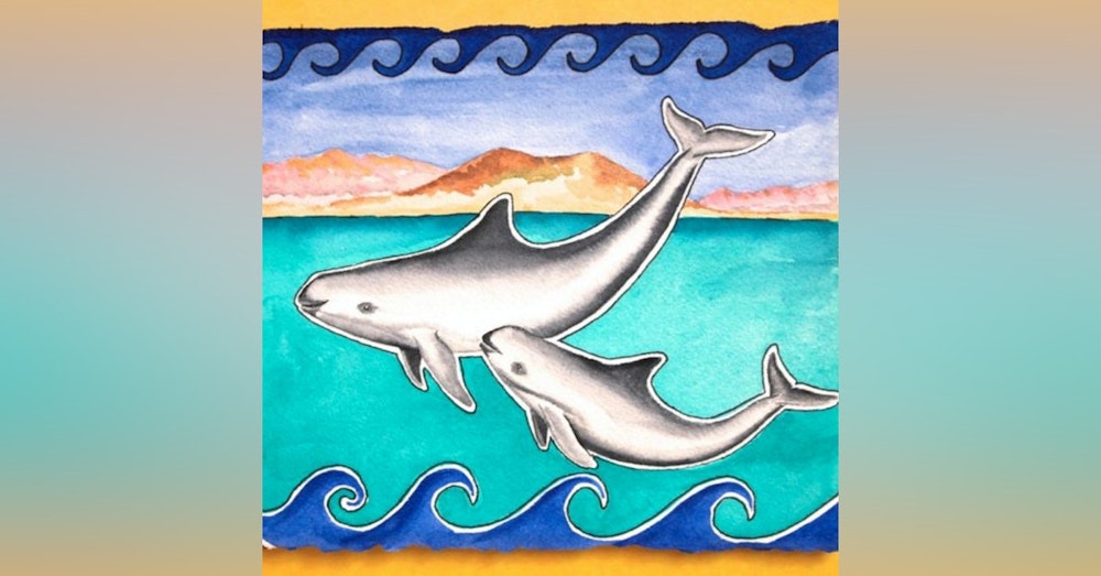 Vaquitas - the Quickly Vanishing Dolphins