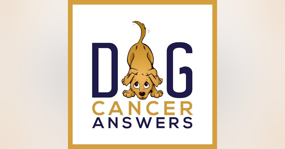 Dog Won't Eat? What To Do | Dr. Sue Ettinger Deep Dive
