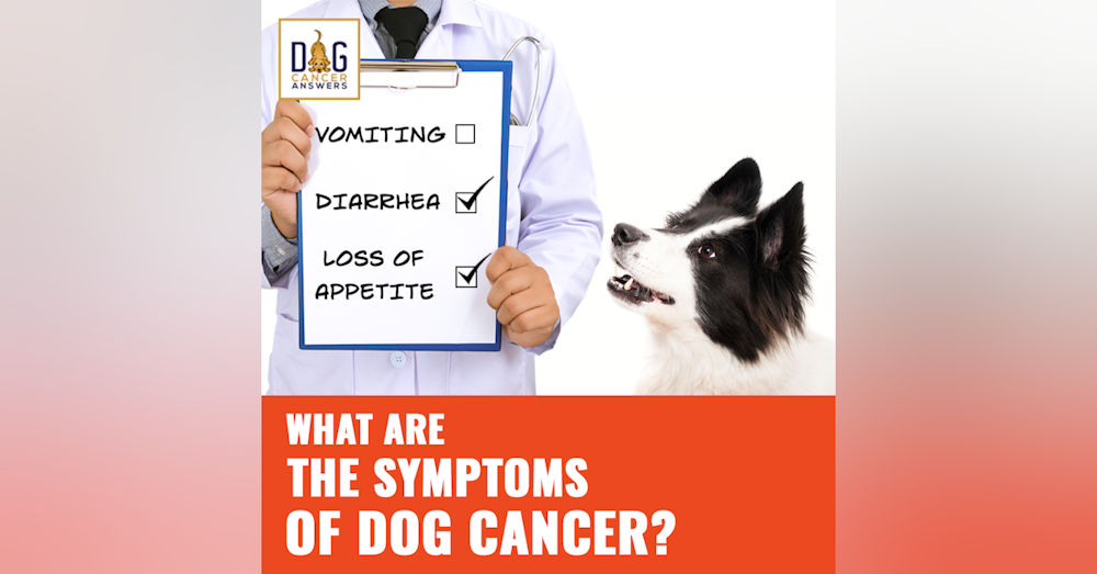 What Are the Symptoms of Dog Cancer? │ Dr. Demian Dressler Q&A