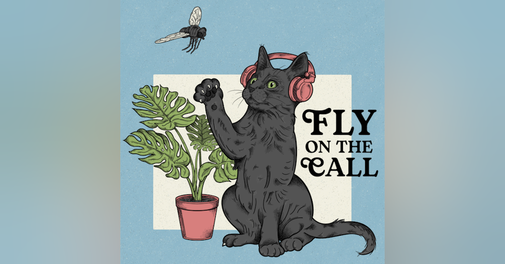 An Intro to Fly On The Call