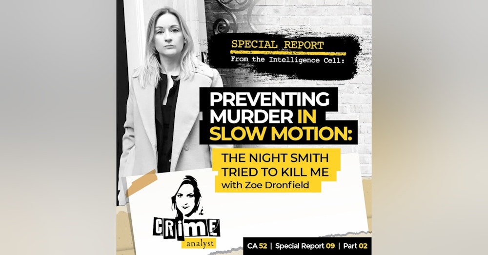 52: Special Report from the Intelligence Cell | Ep 52 | Preventing Murder in Slow Motion™:  Escalating Risk with Zoe Dronfield, Part 2