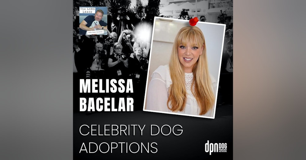 Celebrity Dog Adoptions with Melissa Bacelar | The Long Leash #21