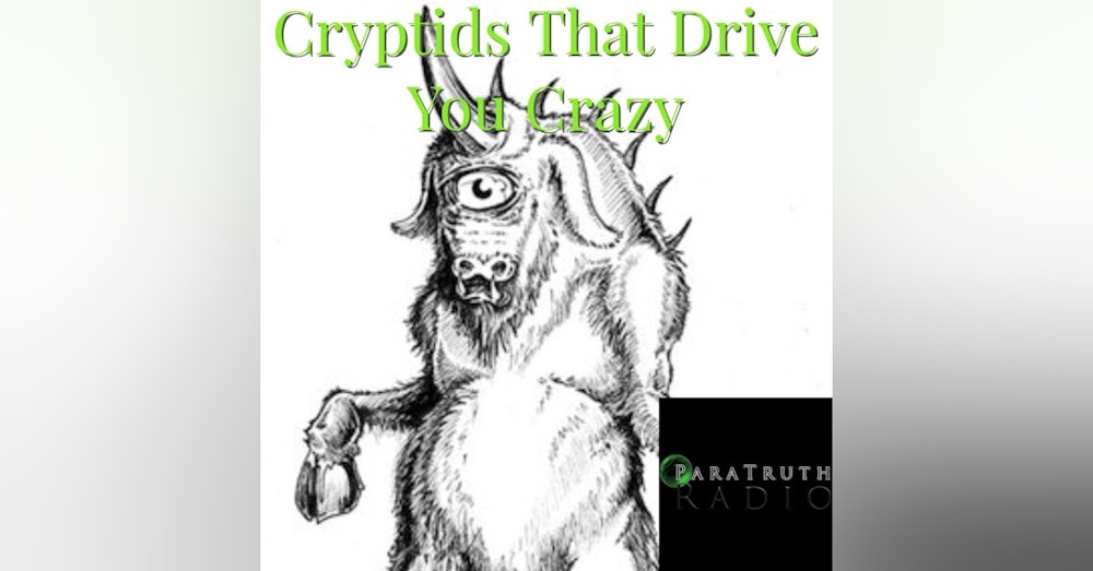 Cryptids That Drive You Crazy