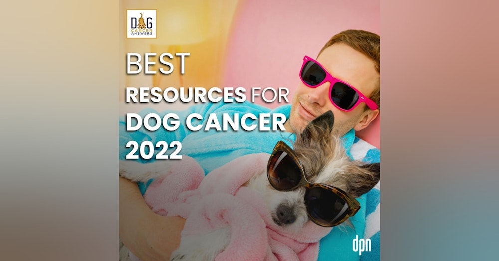 Best Resources for Dog Cancer 2022 | Molly Jacobson and Kate Basedow