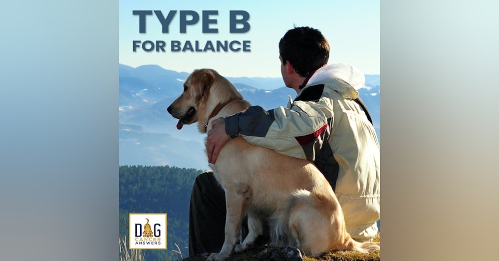 How Type B for Balance Treats Dog Cancer | Molly Jacobson Deep Dive