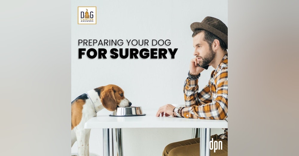 Preparing Your Dog for Surgery | Kate Basedow Deep Dive