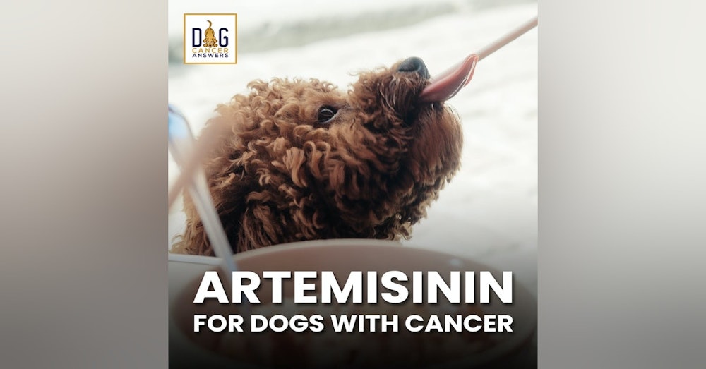 Artemisinin for Dogs with Cancer | Dr. Nancy Reese Deep Dive