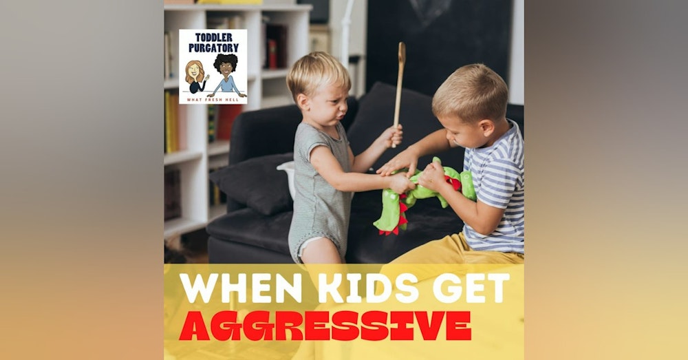 When Kids Get Aggressive