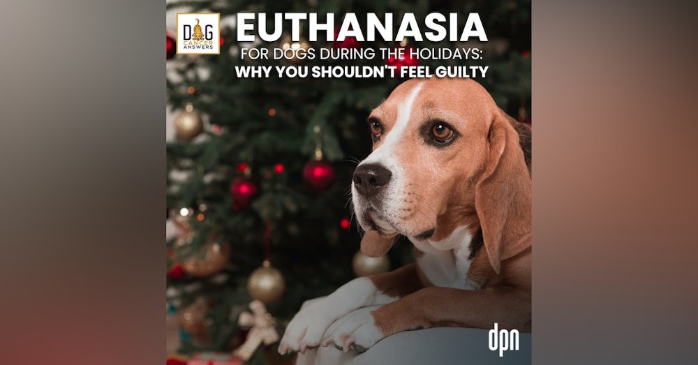 Euthanasia for Dogs During the Holidays: Why You Shouldn’t Feel Guilty | Molly Jacobson and Kate Basedow