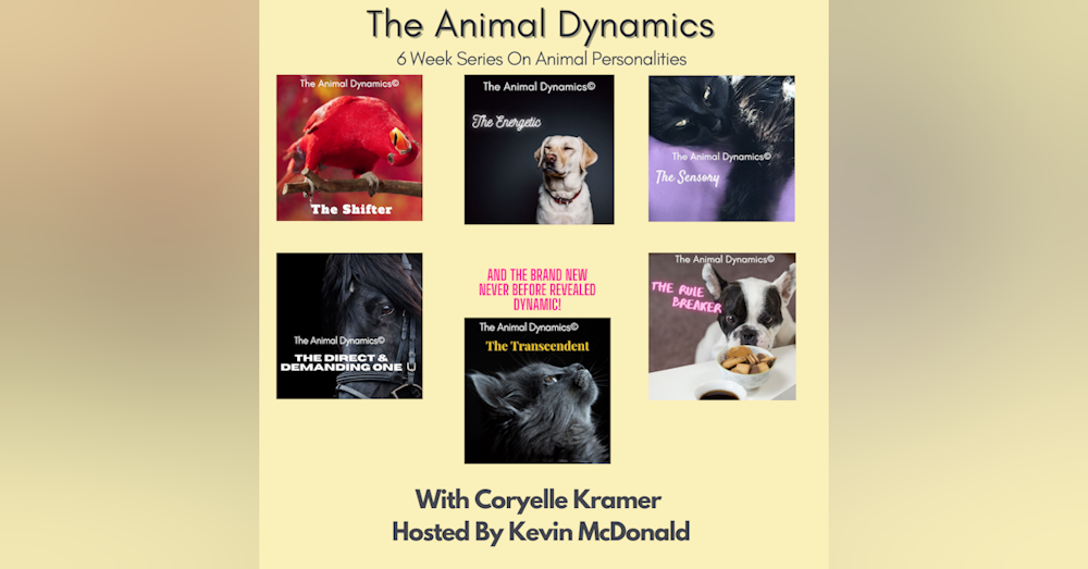 Conversations With Coryelle- Animal Dynamic's Part one- Direct and Demanding One