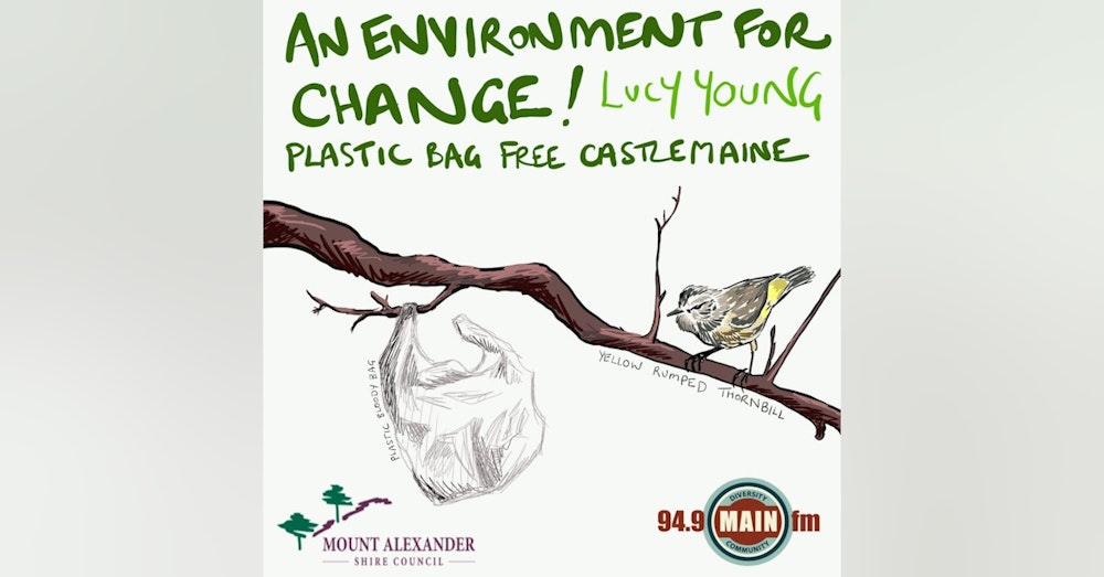 S1 E2 Plastic Bag Free Castlemaine with Lucy Young