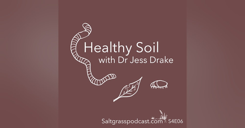 S4 E06 Healthy Soil with Dr Jess Drake