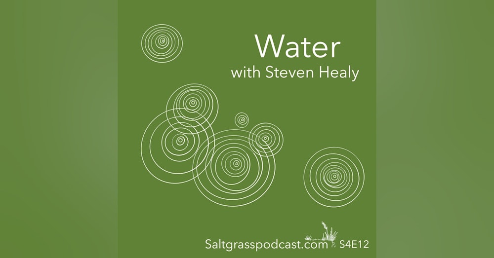 S4E12 Water with Steven Healy from Coliban Water