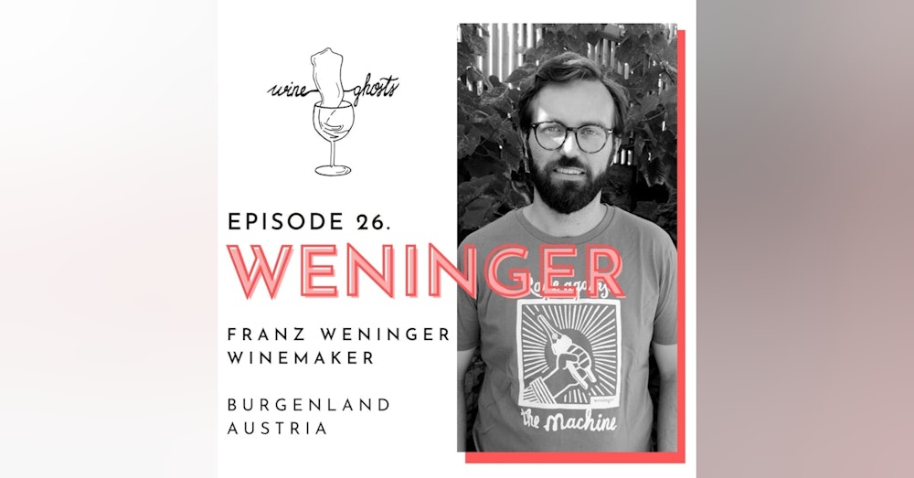Ep. 26. / Franz Weninger's hand-made biodynamic wines across the border