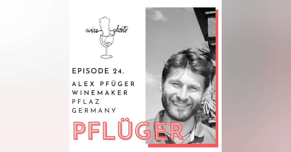 Ep. 24. / Alex Pflüger tells you how great biodynamic Pfalz wines are done