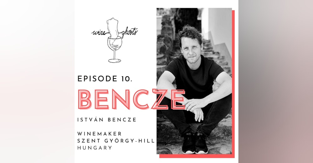 Ep 10. / István Bencze’s savory way from the IT sector to natural winemaking