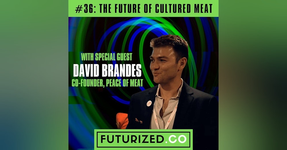 The Future of Cultured Meat