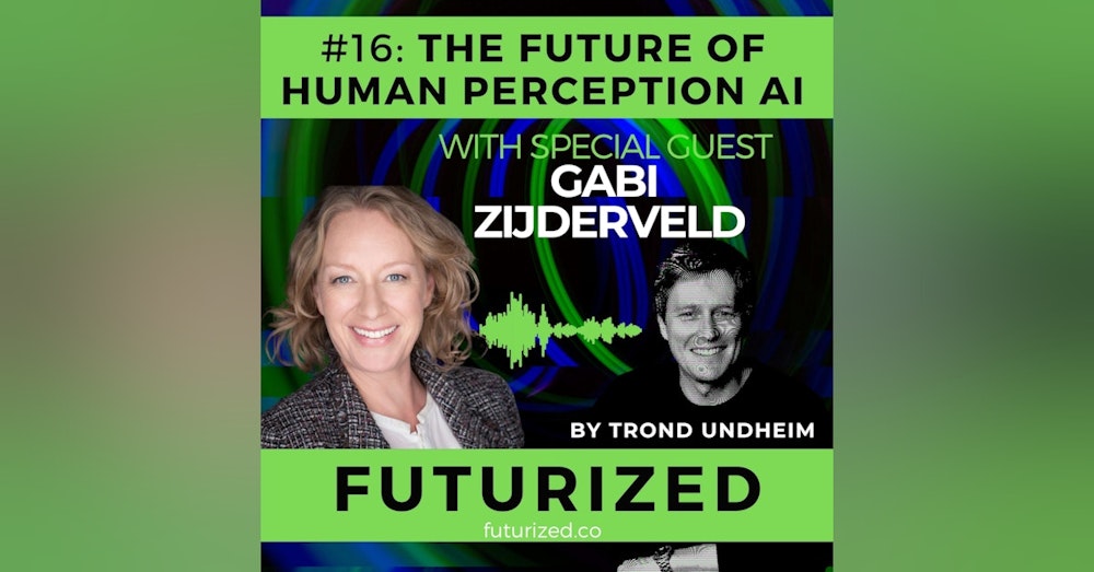 The Future of Human Perception AI
