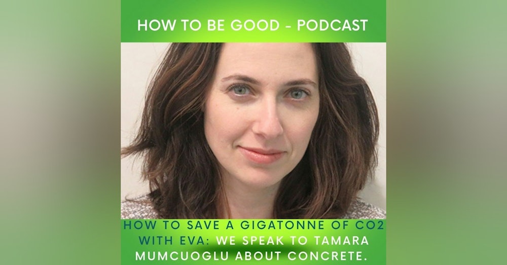 How to save a Gigatonne of CO2 with EVA: we speak to Tamara Mumcuoglu about concrete.