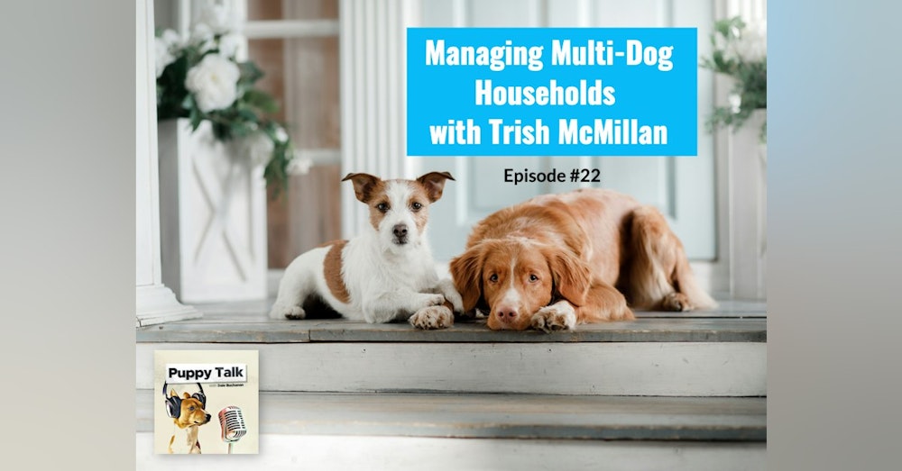 Managing Multi-Dog Households with Trish McMillan