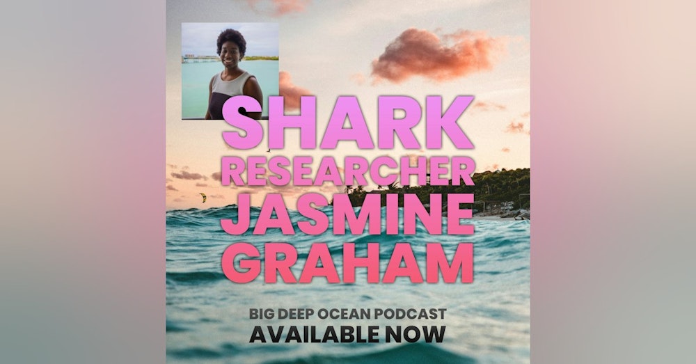 Breaking The Surface - Shark researcher Jasmine Graham on the surprisingly deep connections which attracted her to sharks