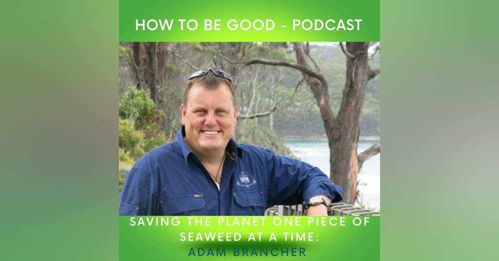 Saving the planet one piece of seaweed at a time: Adam Brancher from Southern Ocean Carbon Company talks sequestration