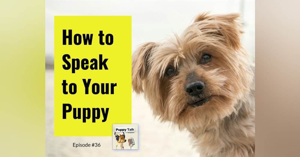 How to Speak to Your Puppy