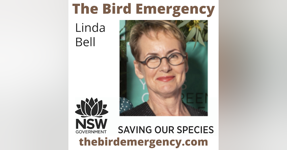 026 Managing complex conservation programs - Saving Our Species with Linda Bell