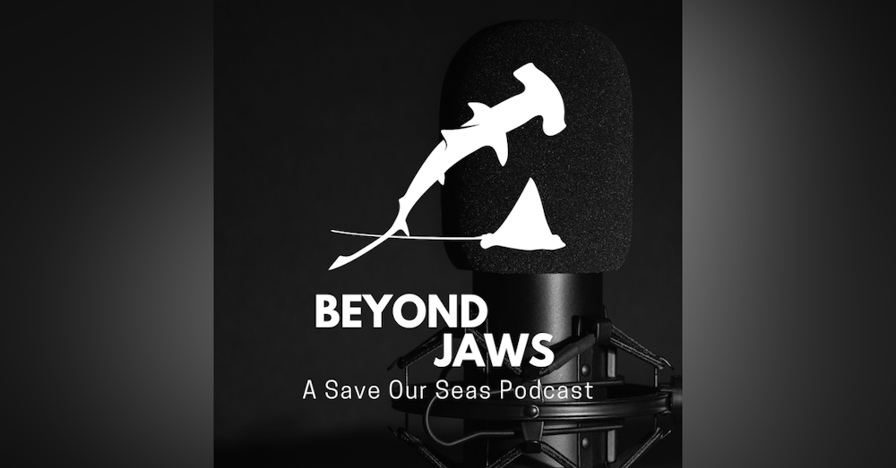 19: Persistence and passion in shark science with Dr. Kady Lyons
