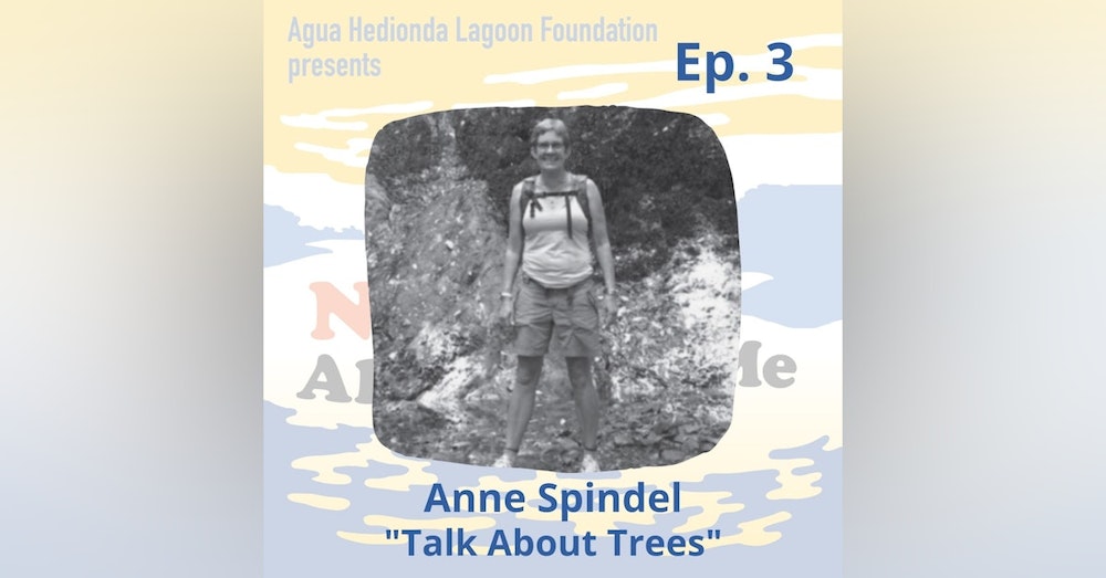 Ep. 3 Anne Spindel: Talk About Trees