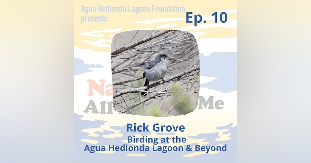 Ep. 10 Birding at the Agua Hedionda Lagoon & Beyond
