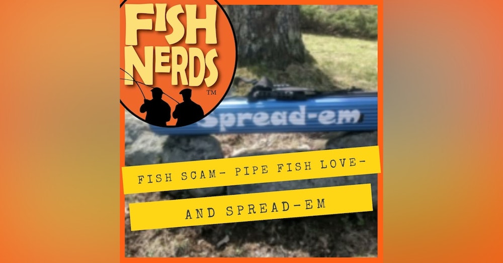 Fish Scam Pipe Fish Love and Spread-Em