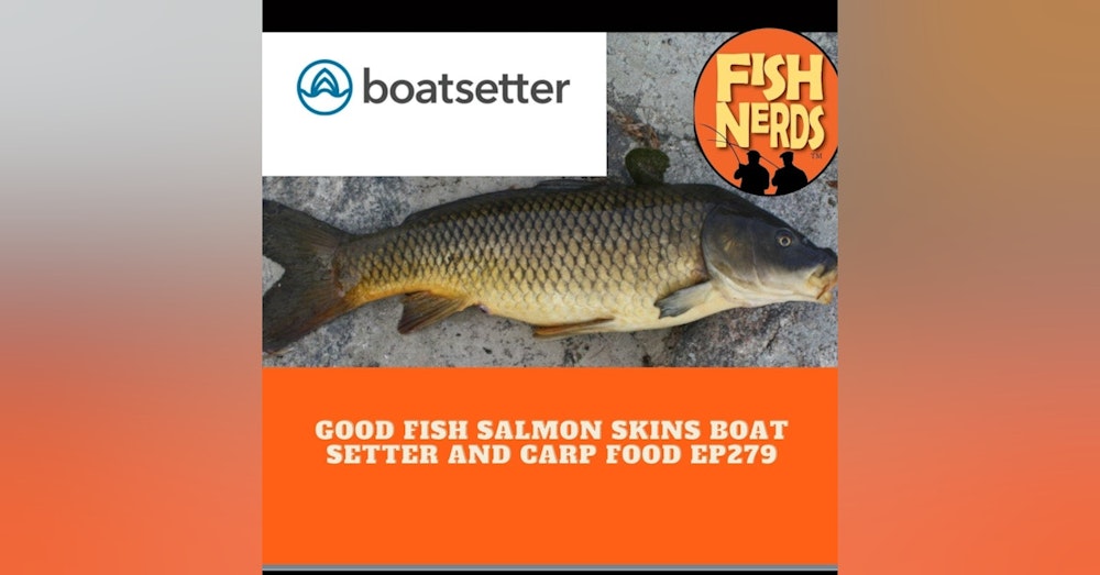 Good Fish Salmon Skins Boat Setter and Carp Food EP279