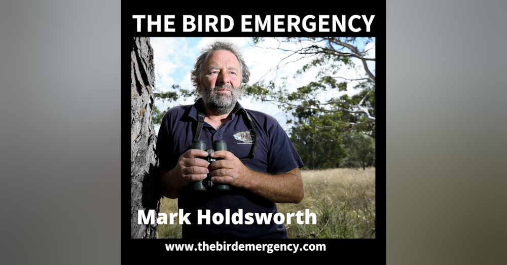019 Mark Holdsworth - From the 'Old School', but has learned new tricks!